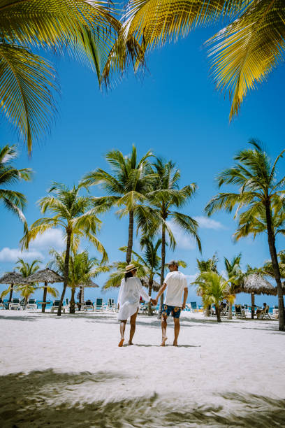 istock Palm beach Aruba Caribbean, white long sandy beach with palm trees at Aruba 1313163029