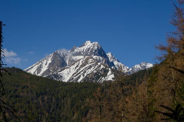 istock Hight Tatras National park 1313165048