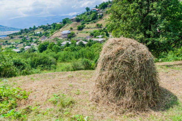 istock Haystack near Haghpat village in Armen 1313166290