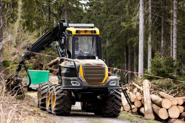 istock a modern harvester in the forest 1313167927
