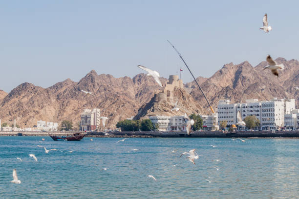 istock View of Mutrah Corniche with Mutrah Fort in Muscat, Om 1313169548