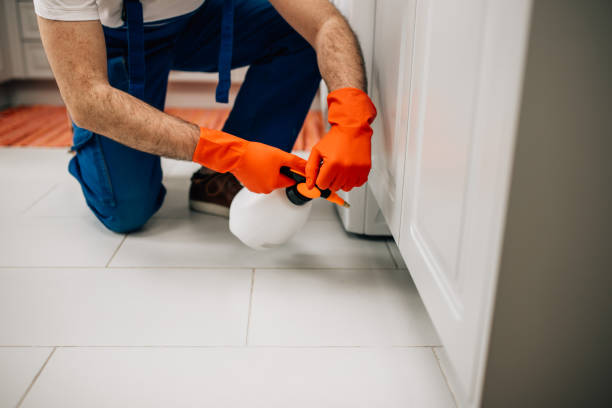 Exterminator Exterminator in protective workwear spraying pesticide with sprayer in home kitchen. rodent stock pictures, royalty-free photos & images