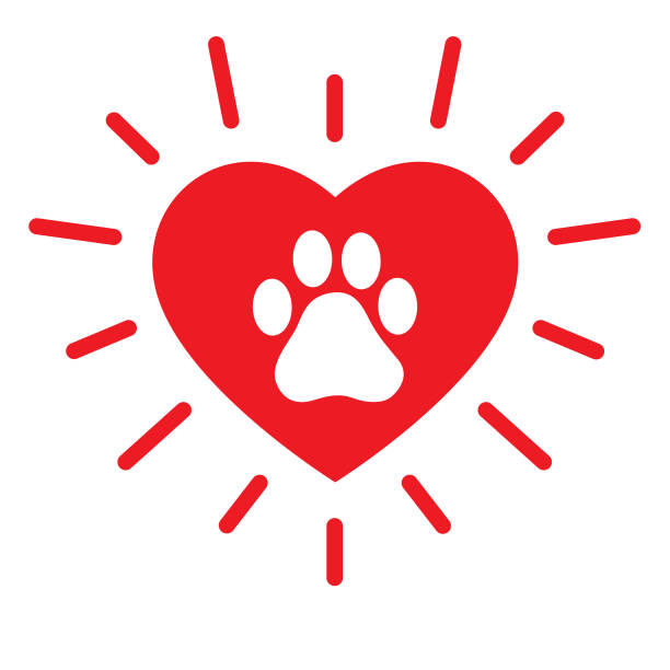 Bright Red Heart With Paw Print Vector illustration of a bright red heart with a white paw print on it. animal welfare stock illustrations