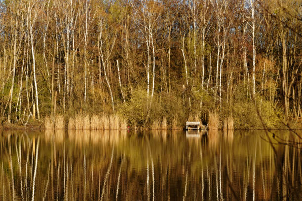 Evening scene at Karauschenweiher, Liblar