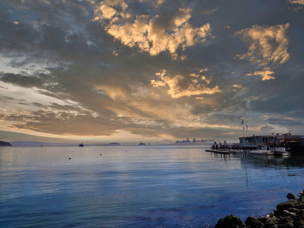 istock view to the bay and landscape at summer 1313172818