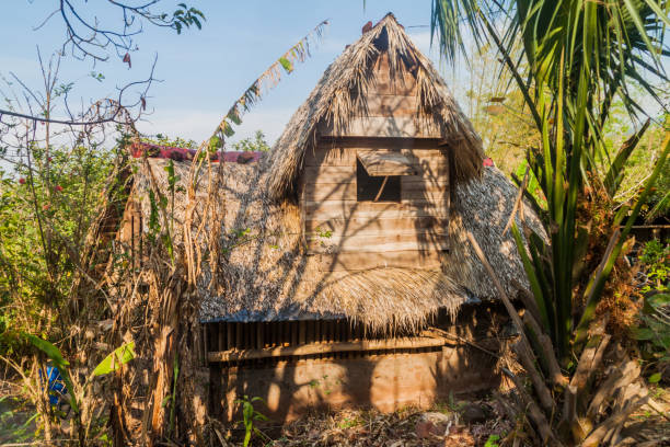 istock Thatched hut, part of a hostel on Ometepe island, Nicarag 1313173119