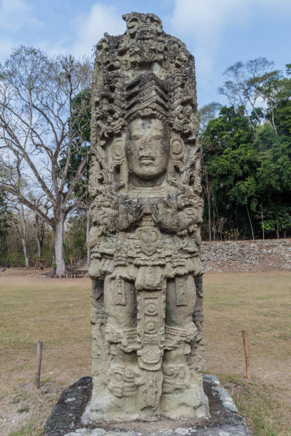 istock Stela at the archaeological site Copan, Hondur 1313173316