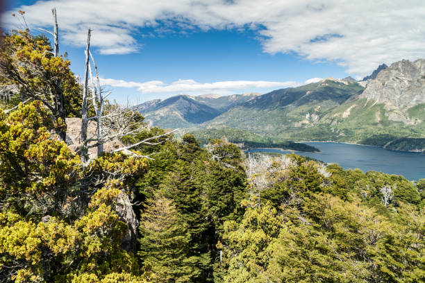 istock Pertio Moreno Oeste lake, Argentina 1313174152
