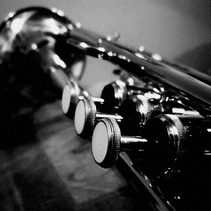 Close up of trumpet pistons