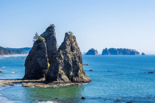 istock Sunny day at Rialto Beach in Washington 1313175724