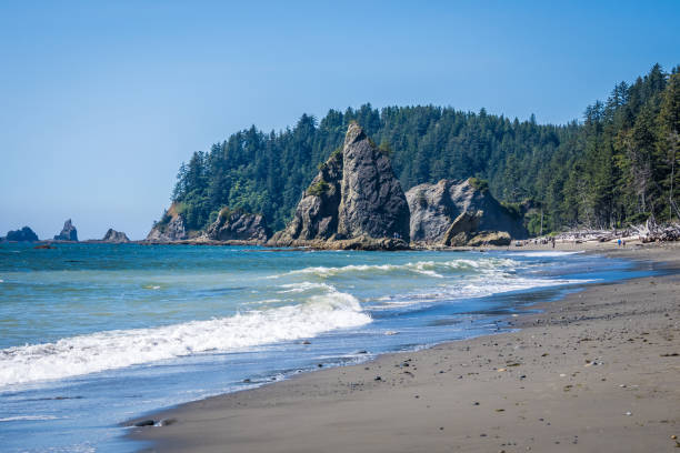 istock Sunny day at Rialto Beach in Washington 1313175747