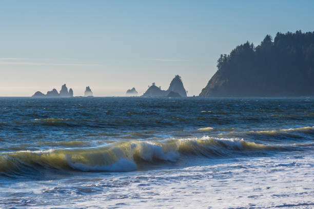 istock Sunny day at Rialto Beach in Washington 1313175752