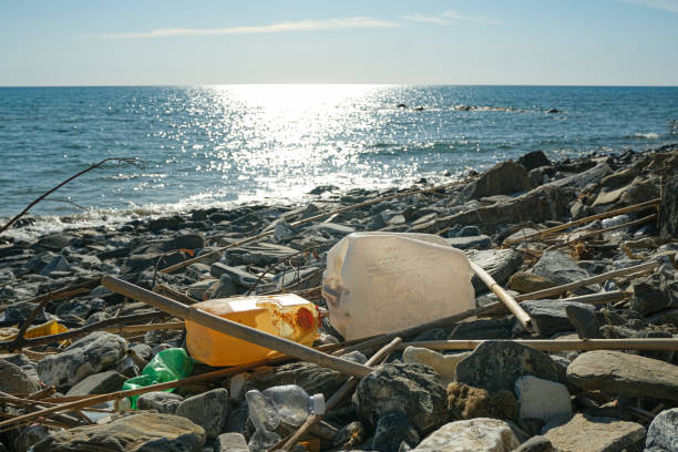 istock Plastic fuel tank discarded on contaminated sea coast ecosystem,environmental waste pollution 1313175867