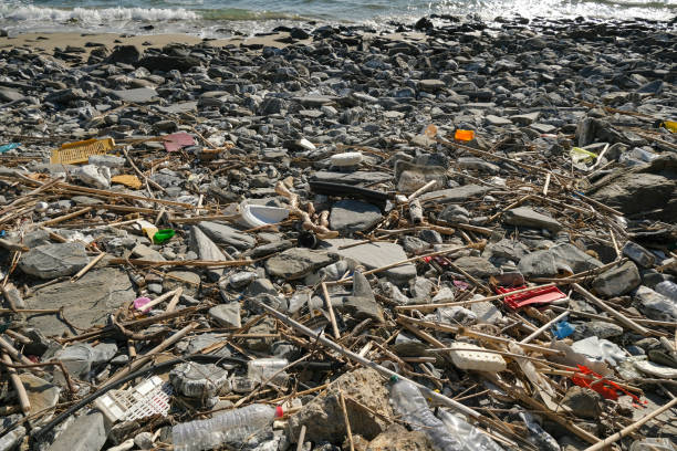 istock Dump of plastic garbage pollution on contaminated sea coast ecosystem,environmental waste 1313175923