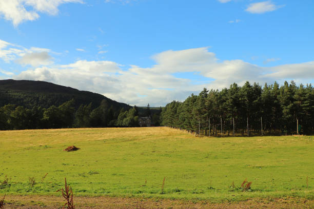 istock Trekking in the Scottish highlands 1313182525