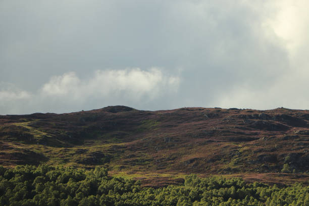 near Aasleagh, Connemara, county Galway, Ireland. Pictural effect
