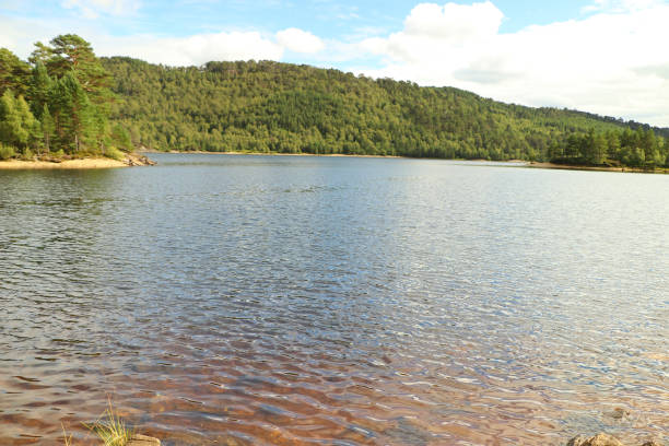 istock Trekking in the Scottish highlands 1313182811