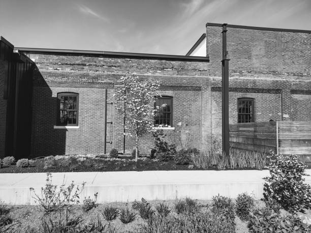 istock Some old, some new St.Louis 1313185693