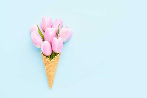 Pink tulips bouquet in waffle ice cream cone on a light blue background. Mothers Day, Valentines Day, bachelorette, summer concept. Copy space, top view. Minimalism