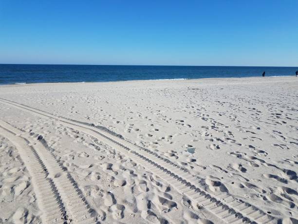 istock tire tracks on sand on the beach or shore with water 1313186797