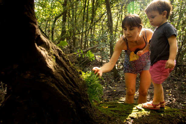 istock climbing trees and family 1313186848