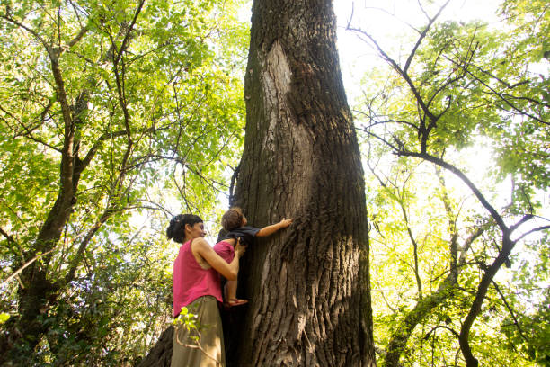 istock parents and children with large trees 1313186899