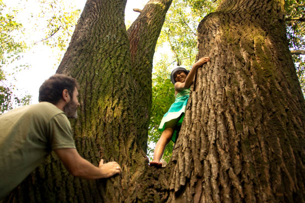 istock climbing trees and family 1313186968