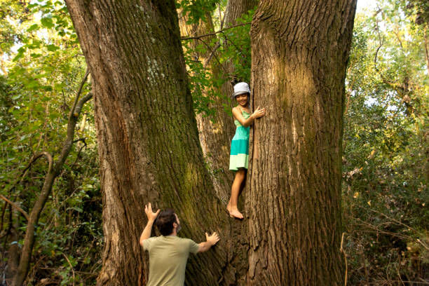 istock climbing trees and family 1313187188
