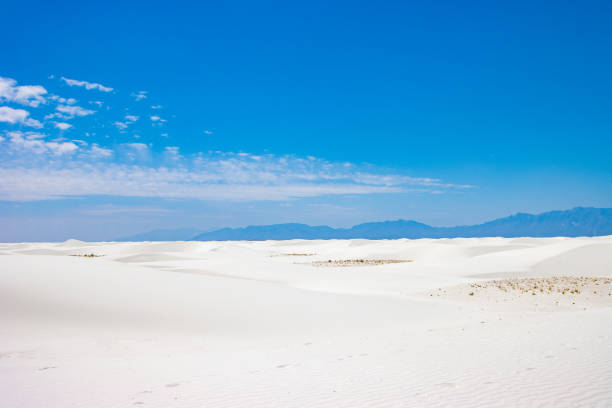 istock Gypsum dunes at White Sands National Park 1313187951