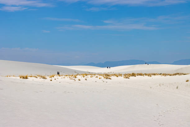 Groups of people explore and hike White Sands National Park