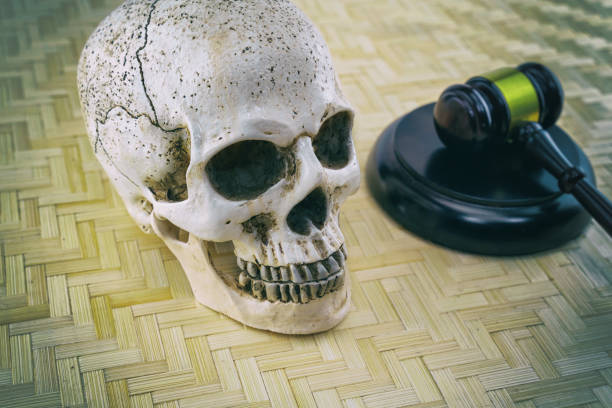 istock human skull and judge gavel on wooden background close-up 1313189372