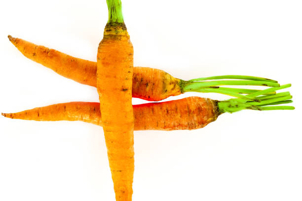 three long root vegetables carrots orange vegetables lie on a light background