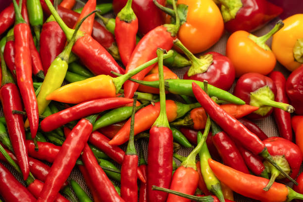 istock red pepper pods mini hot and round bright vegetable pattern 1313191294