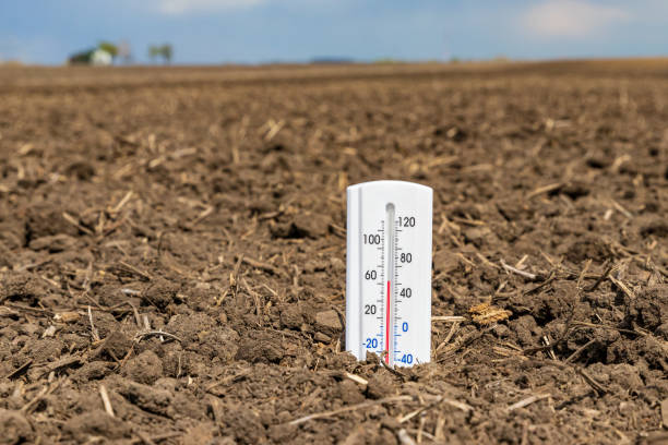 Thermometer is soil of farm field. Soil temperature, planting season and farming weather forecast concept. background, no people nitrogen element stock pictures, royalty-free photos & images