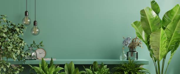 istock Interior wall mockup with green plant,Green wall and shelf. 1313196948