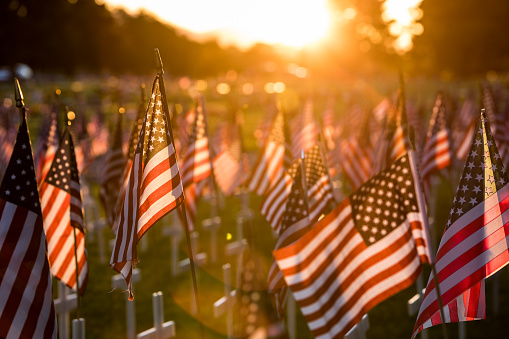 A field of American flags set up for a Memorial Day parade