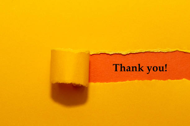 istock Thank You Written Under Yellow Torn Paper 1313204471
