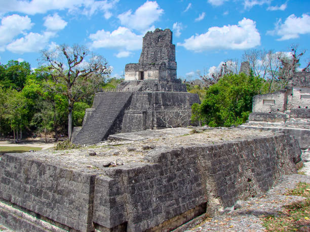 istock Ancient Tikal Pyramids in Guatemala 1313207940
