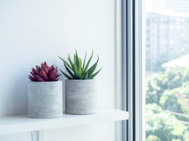 istock DIY concrete plant pot on white wall background 1313212168