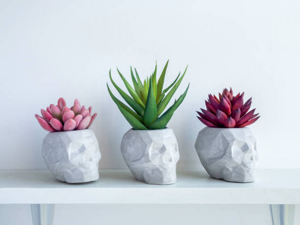 istock DIY concrete plant pot on white wall background 1313212920