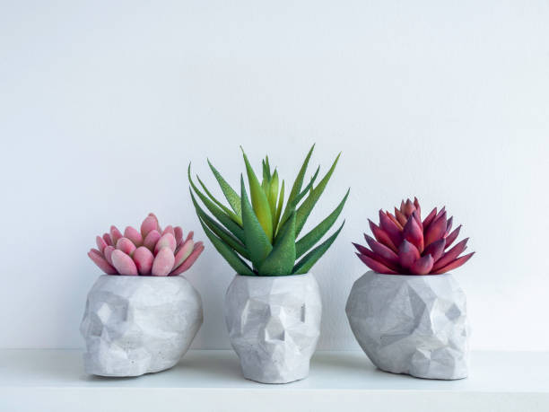 istock DIY concrete plant pot on white wall background 1313212931