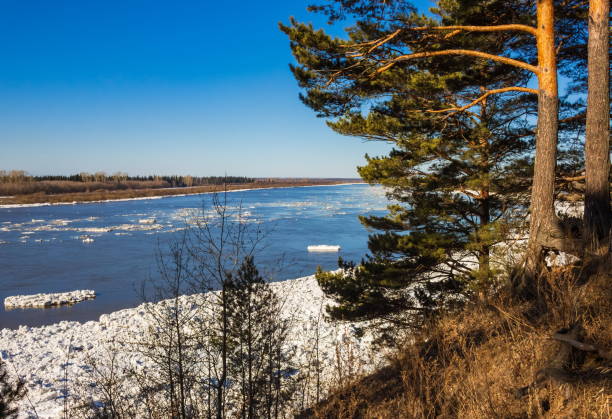 istock Ice drift along the Tom river. Tomsk. Russia. 1313213220
