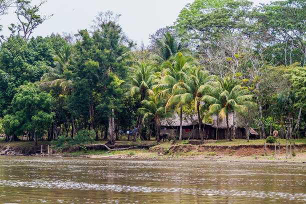 istock Small settlement at San Juan river, Nicarag 1313213373