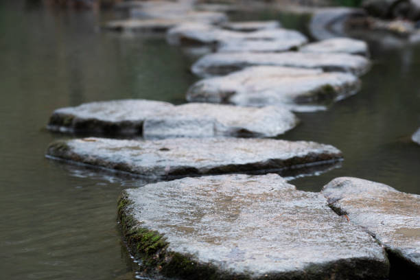 istock A stone path on the lake among the maple grove 1313218737