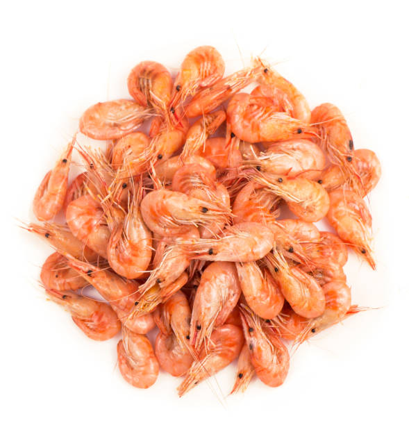 istock Fresh cooked shrimp isolated on white background. Seafood 1313220667
