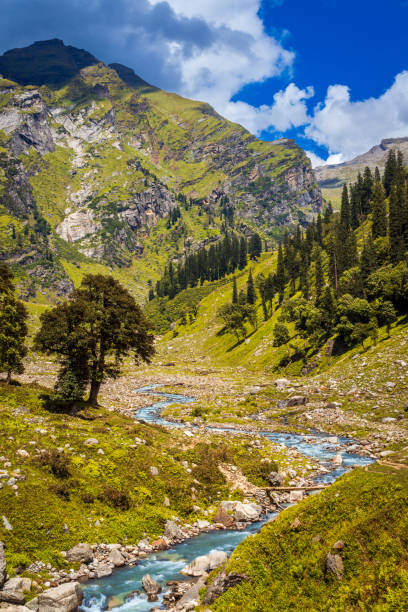 istock Scenic vertical landscape view of the mountain river. 1313221747