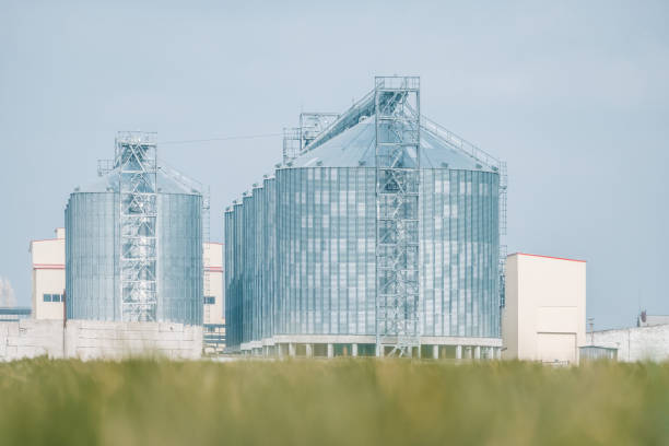 istock Grain elevator. Metal grain elevator in agricultural zone. Agriculture storage for harvest. Grain elevators on green nature background. Exterior of agricultural factory. Nobody 1313223615