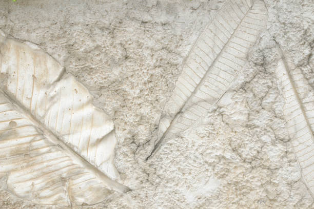 istock old marks of leaf on the gray concrete background 1313225470