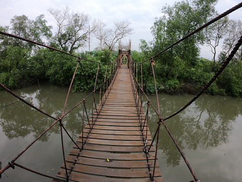 A bridge over a river in the mangrove forest of Gununganyar, Surabaya, East Java, Indonesia