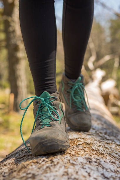 istock person walking through the forest in nature 1313228271